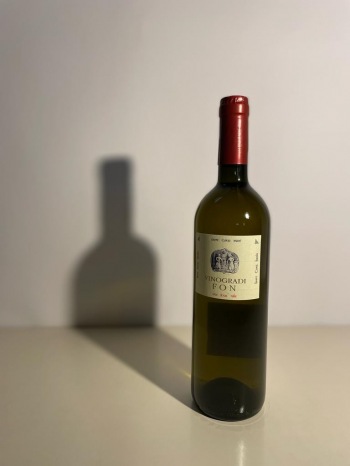 vinogradi fon vitovska 2020